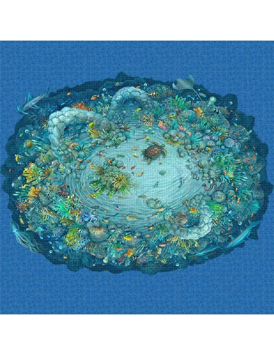 11406.