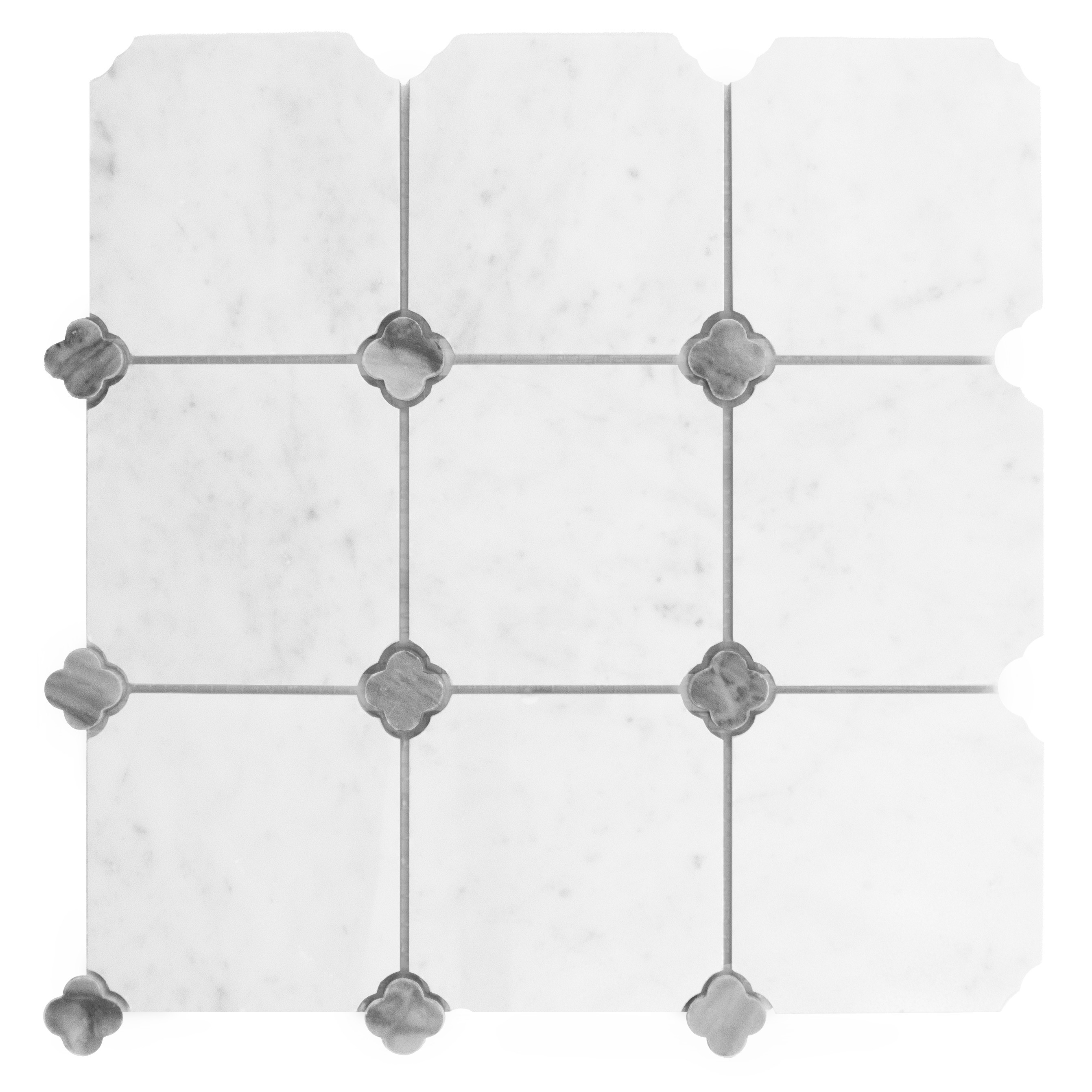 Carrara Octalux 100 (1).jpg