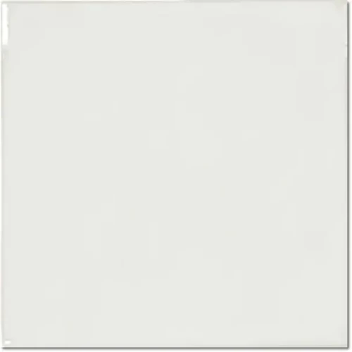 evolution blanco.webp