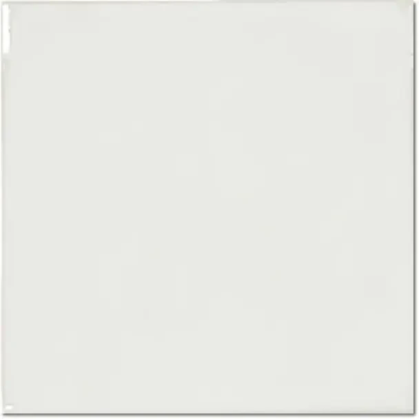 evolution blanco.webp
