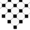 Mini Octagon B&W 55 matt (3).jpg