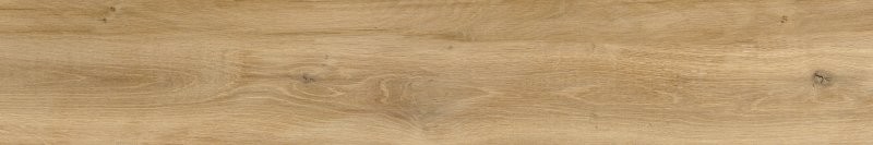 arbaro desert limone.jpg