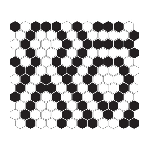 MINI HEXAGON Lace.jpg
