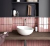 artisan-rose-mallow-65x20.jpg