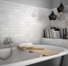 cottage_whitematt-1024x992.jpg