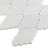 Carrara White Crest (3).jpg