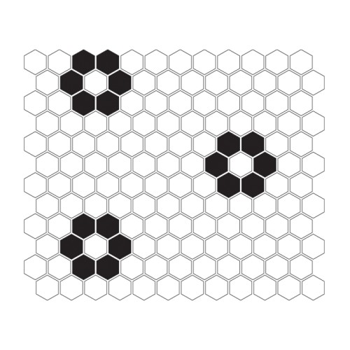 MINI HEXAGON Flower.jpg
