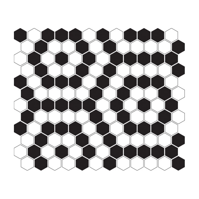 MINI HEXAGON Nano.jpg