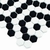 Mini Hexagon B&W Nano (3).jpg