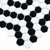 Mini Hexagon B&W Coral (3).jpg