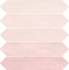 crackle-camelia-00-1000.jpg
