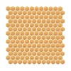 Mini Hexagon Gold (1).jpg