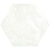 blanco_0014_capa_46.jpg
