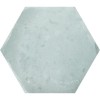 58_0000_gris.jpg