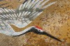 MosaicArt_Cranes (2).jpg