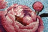 MosaicArt_Peonies (4).jpg