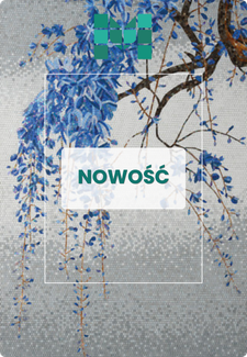 Nowość płytki (2).png
